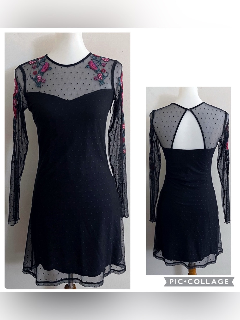 Sheer Polka Dot Black Mesh Dress with Floral Embroidery Goth Whimsigoth Emo